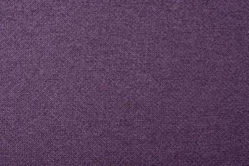 Nice plum