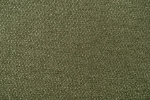 Nice olive