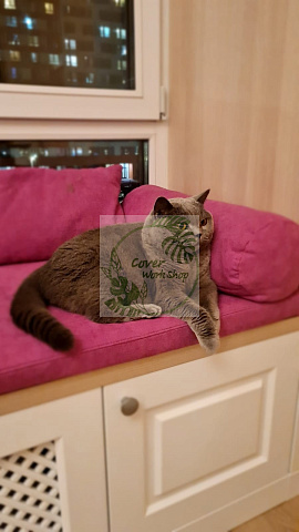 Матрас розовый для кота